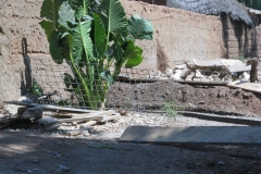 Kamerun-2011-2012-1024-Medium