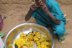 Kamerun-2011-2012-1099-Medium