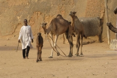 Kamerun-2011-2012-1181-Medium